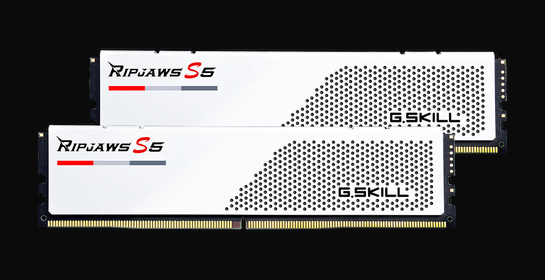G.Skill F5-5200U4040A16GX2-RS5W (DDR5-5200 CL40 16GB×2)
