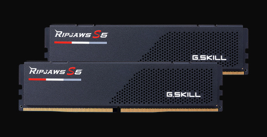 G.Skill F5-5600U3636C16GX2-RS5K (DDR5-5600 CL36 16GB×2)