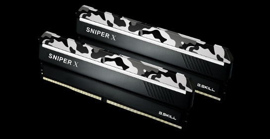 G.Skill F4-3400C16D-16GSXW (DDR4-3400 CL16 8GB×2)